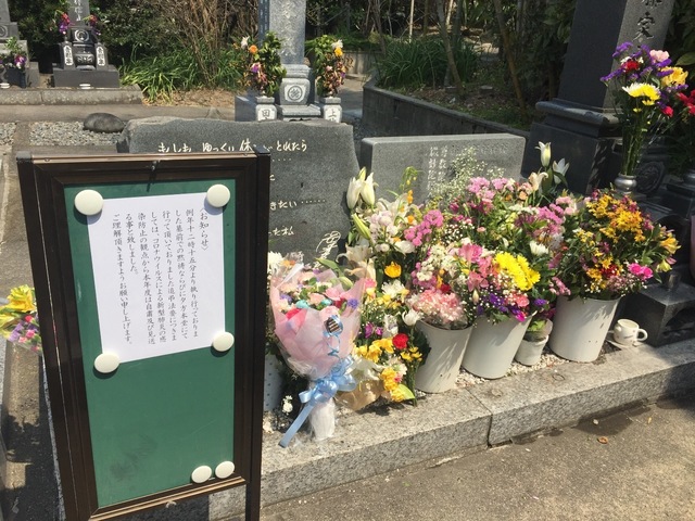 岡田有希子さんの遺骨 ふみ